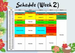 TDSSBrochure-2Weeks-Week2